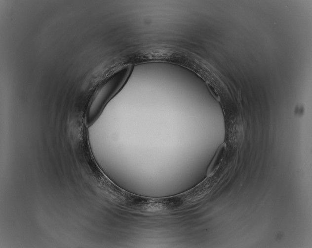 X0000090740604200708031547