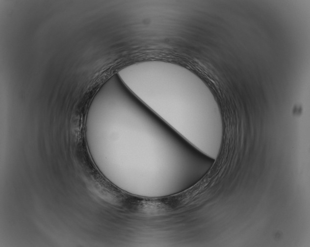 X0000090740605200708031547