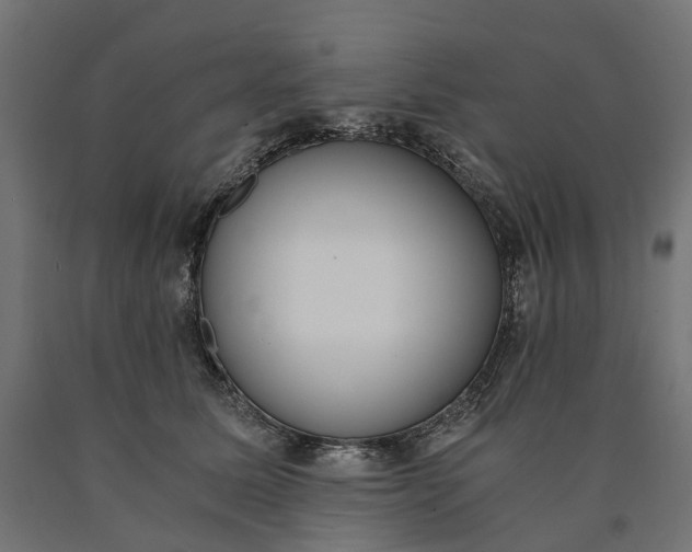 X0000090740611200708031547