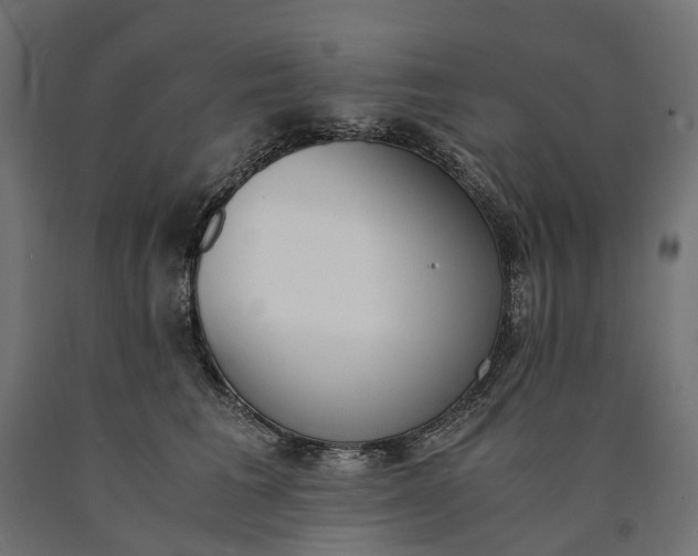 X0000090740613200708031547