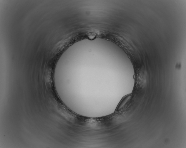 X0000090740616200708031547