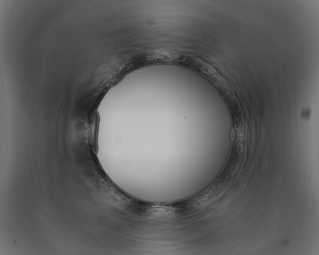 X0000090740617200708031547