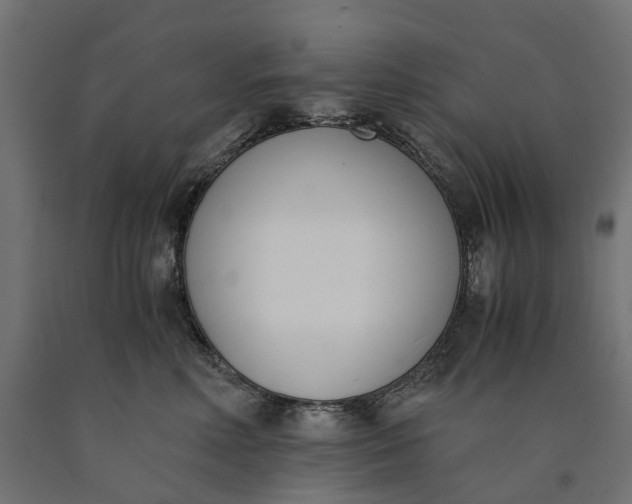 X0000090740618200708031547