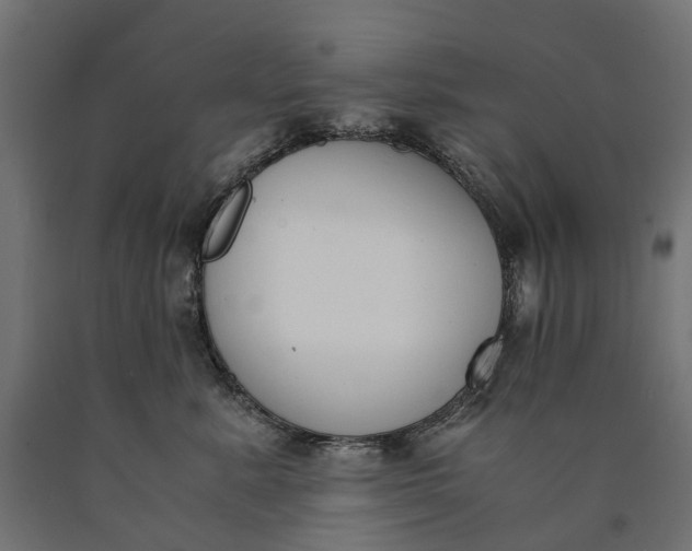 X0000090740619200708031547