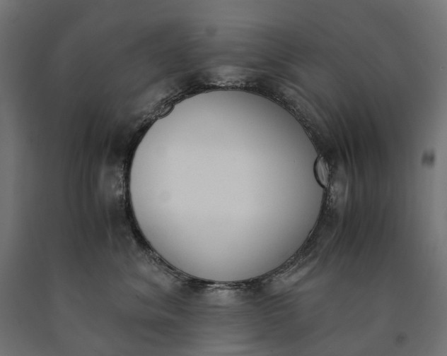 X0000090740620200708031547