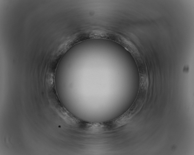 X0000090740621200708031547