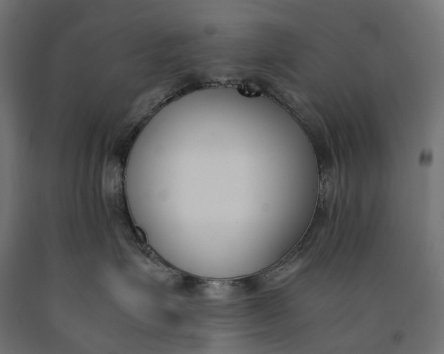 X0000090740623200708031547