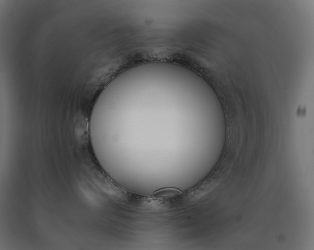 X0000090740624200708031547