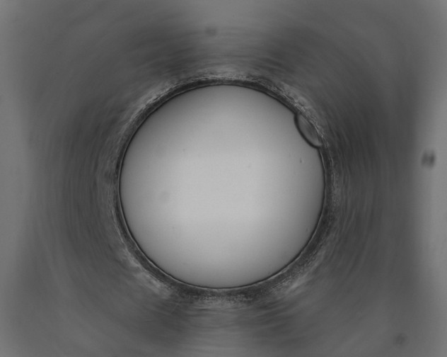 X0000090740625200708031546