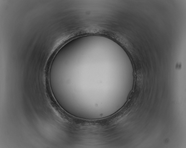 X0000090740626200708031546