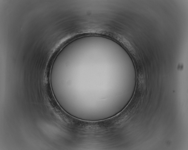 X0000090740628200708031546