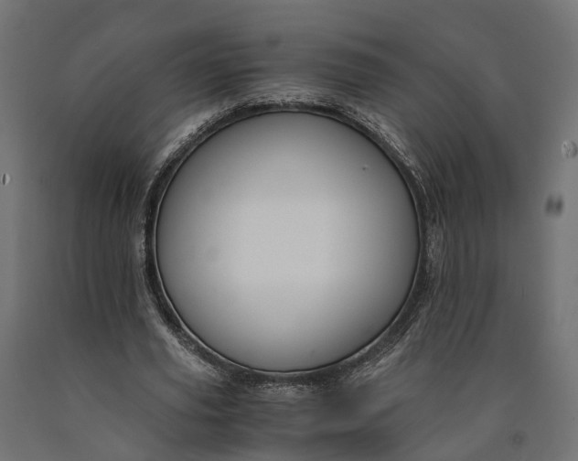 X0000090740629200708031546