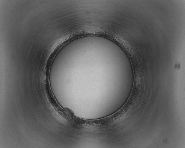 X0000090740630200708031546