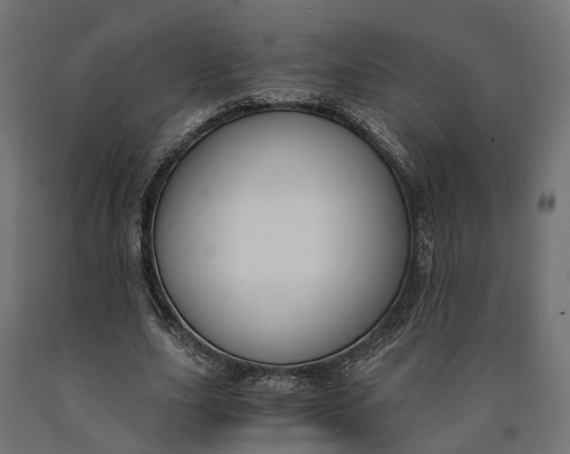 X0000090740631200708031546