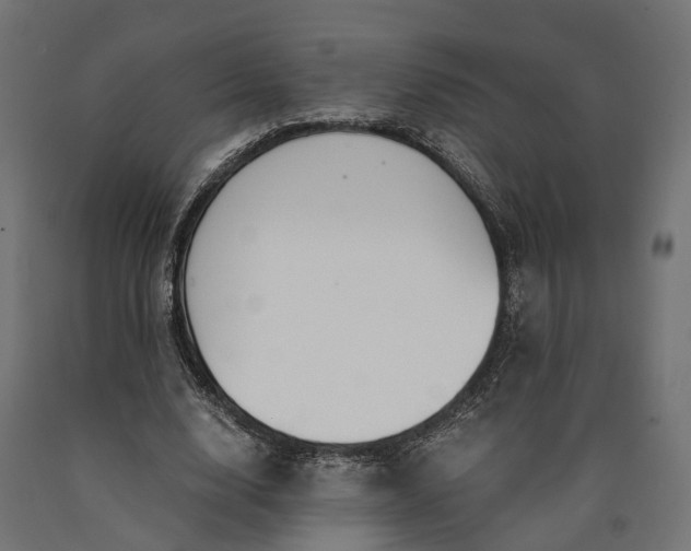 X0000090740632200708031546