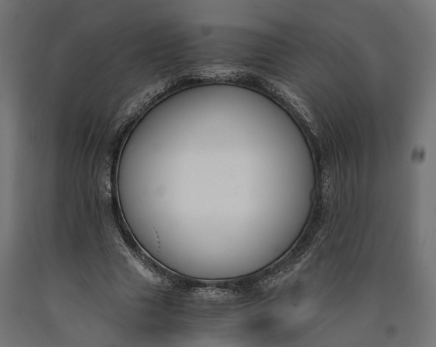 X0000090740633200708031546