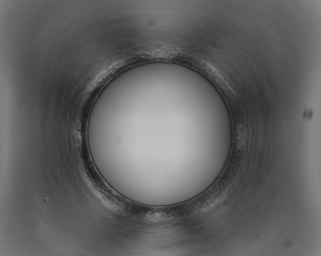 X0000090740634200708031546