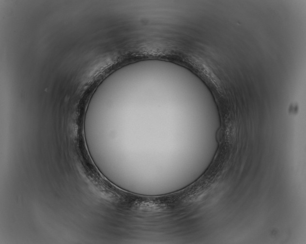 X0000090740635200708031546