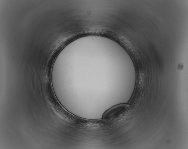 X0000090740636200708031546