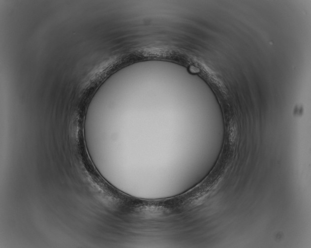 X0000090740637200708031546