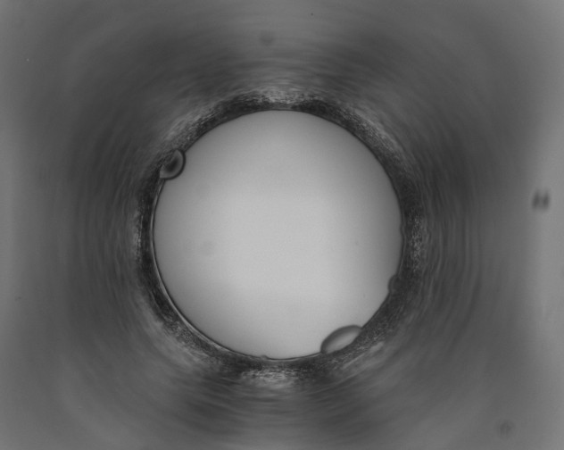 X0000090740639200708031546