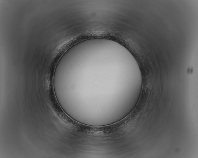 X0000090740640200708031546