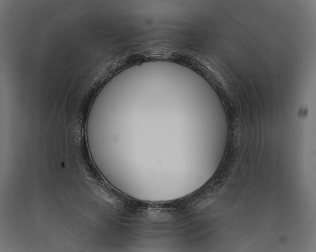 X0000090740641200708031546