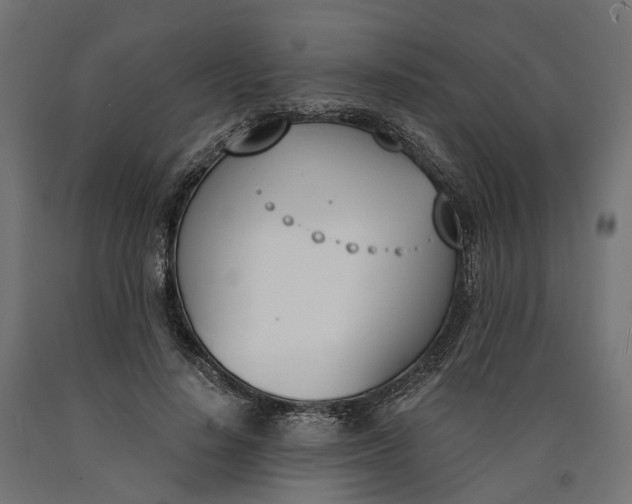 X0000090740644200708031546