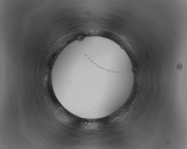 X0000090740645200708031546