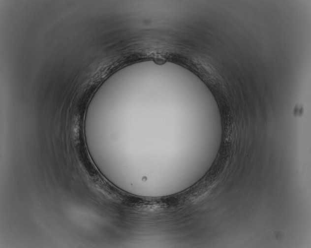 X0000090740646200708031546