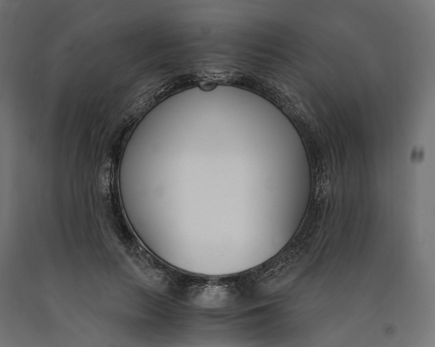 X0000090740647200708031546