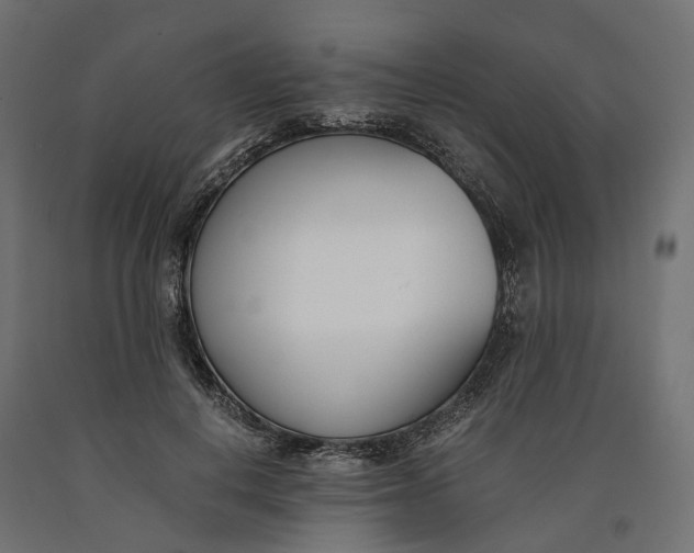 X0000090740648200708031546