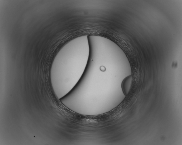 X0000090740649200708031546