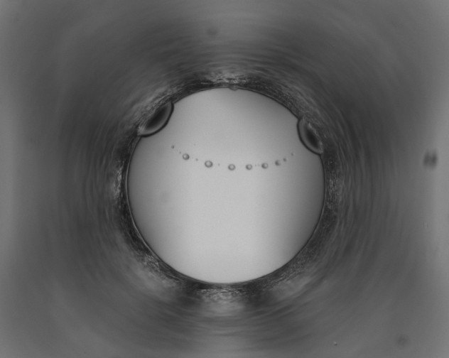 X0000090740652200708031546