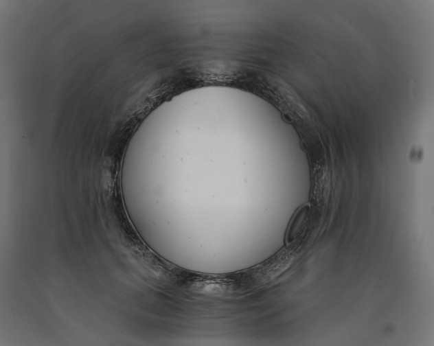 X0000090740655200708031547