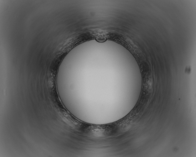 X0000090740658200708031547