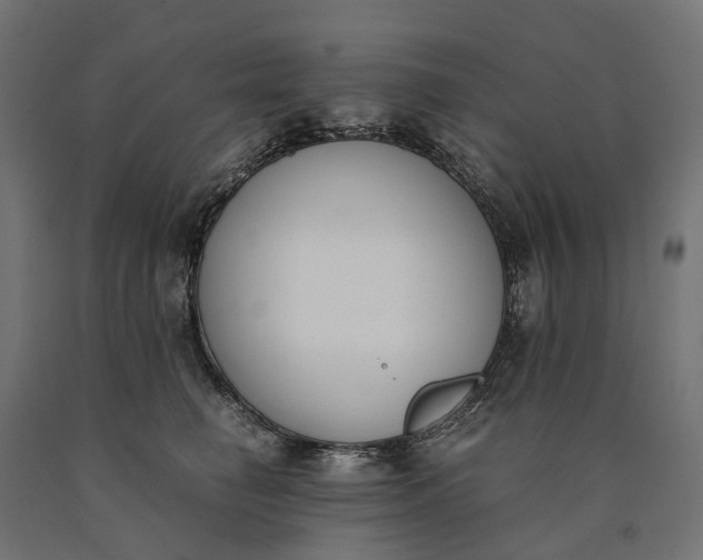 X0000090740662200708031547