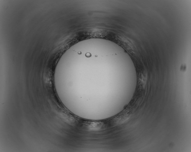 X0000090740663200708031547