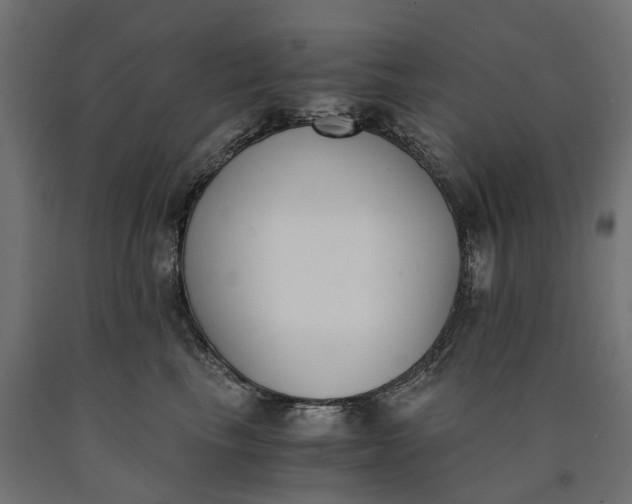 X0000090740665200708031547