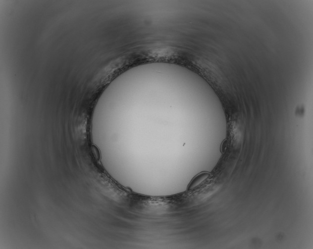 X0000090740668200708031547