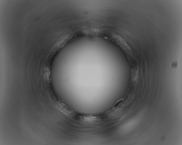 X0000090740669200708031547