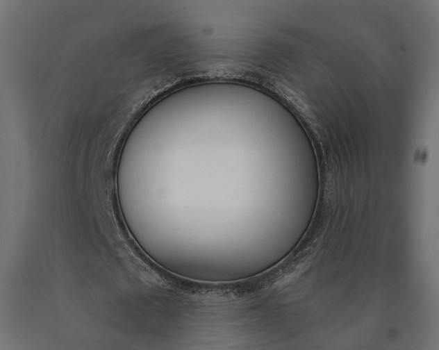 X0000090740673200708031546