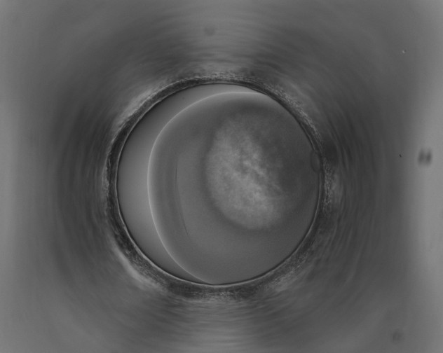 X0000090740674200708031546