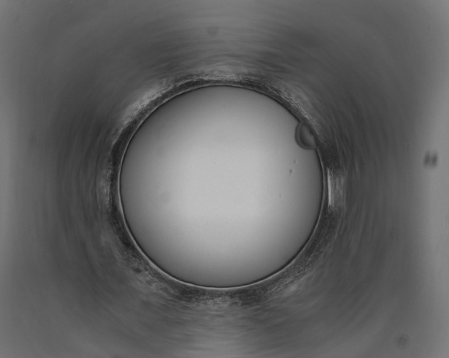 X0000090740675200708031546