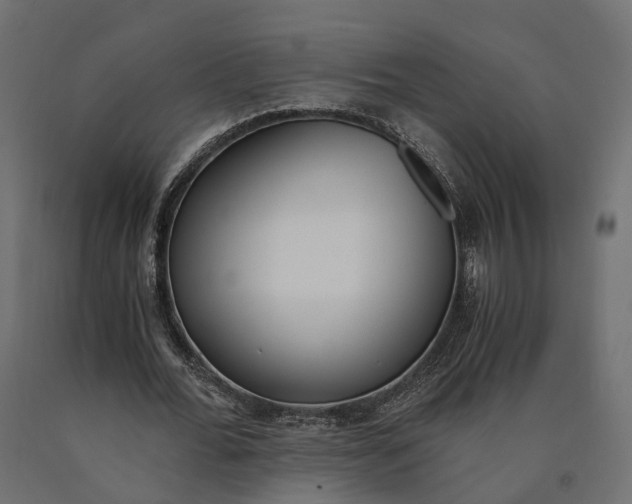 X0000090740676200708031546