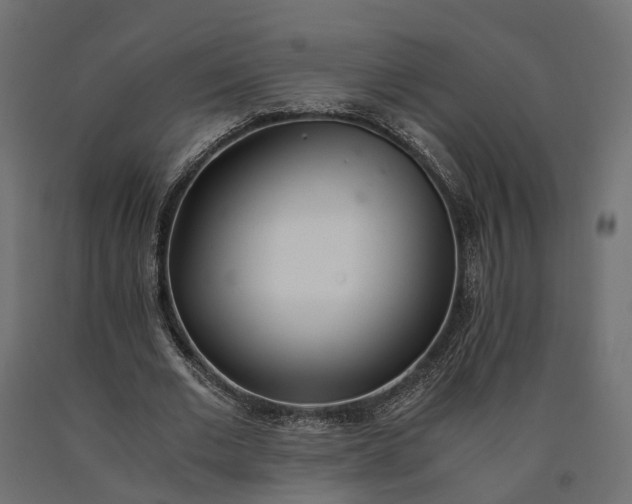 X0000090740677200708031546