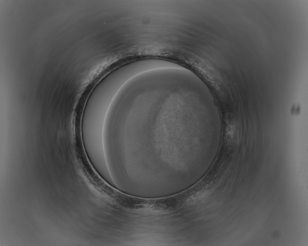 X0000090740678200708031546