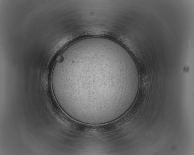 X0000090740679200708031546