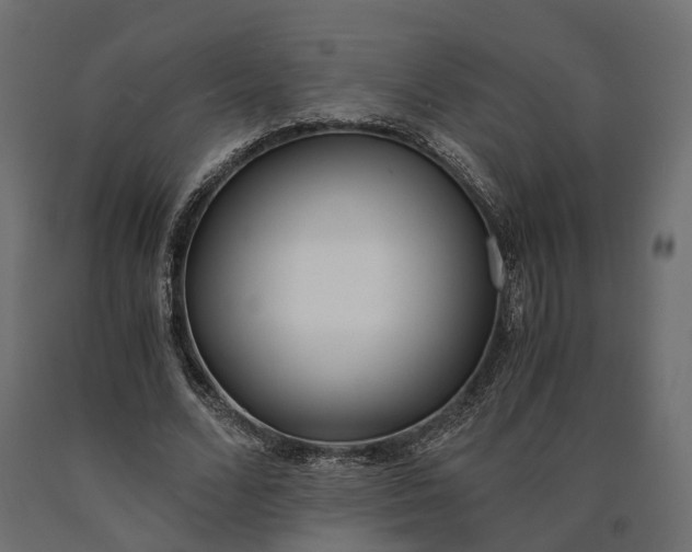 X0000090740680200708031546