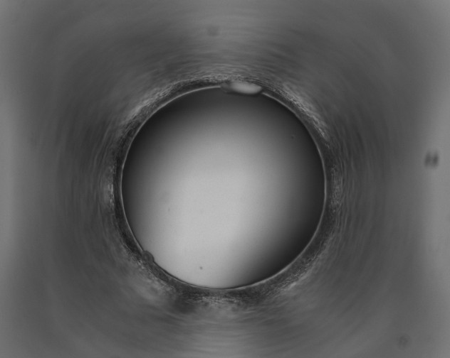 X0000090740681200708031546